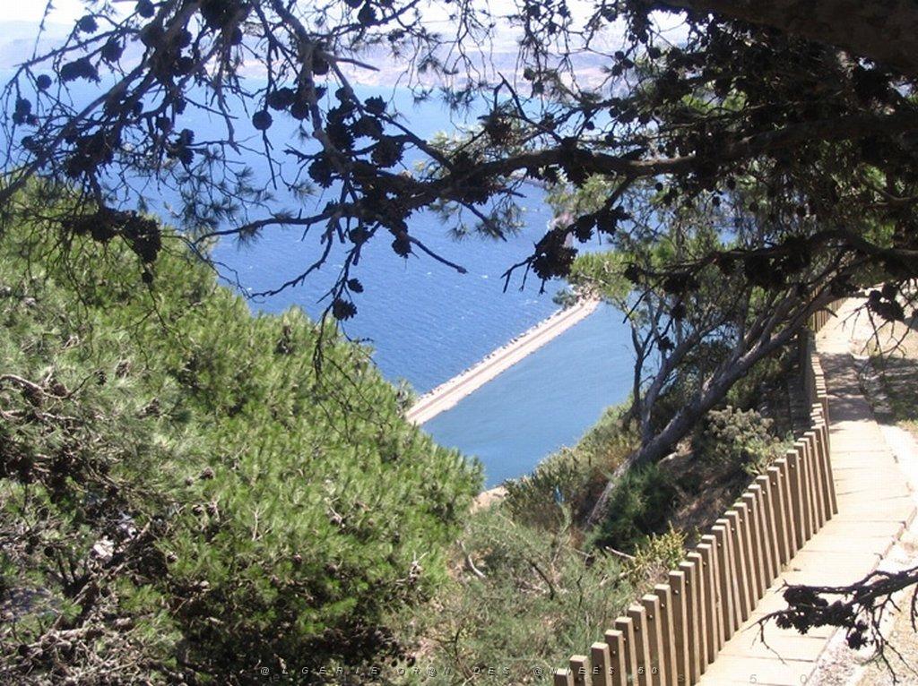 ORAN MAI 2008 3045 Santa Cruz.jpg